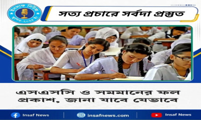 এসএসসি ও সমমানের ফল প্রকাশ, জানা যাবে যেভাবে